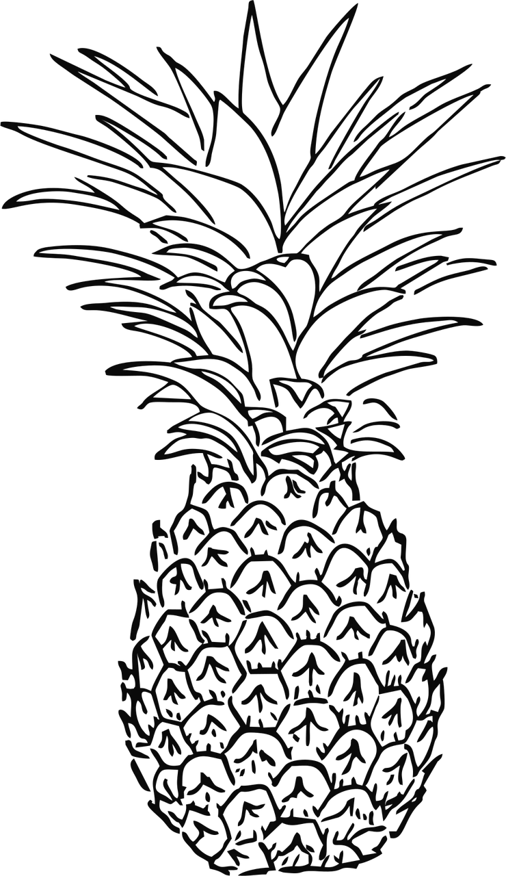 Pineapple Fruit Tropic Stickdatei – Essen & Trinken