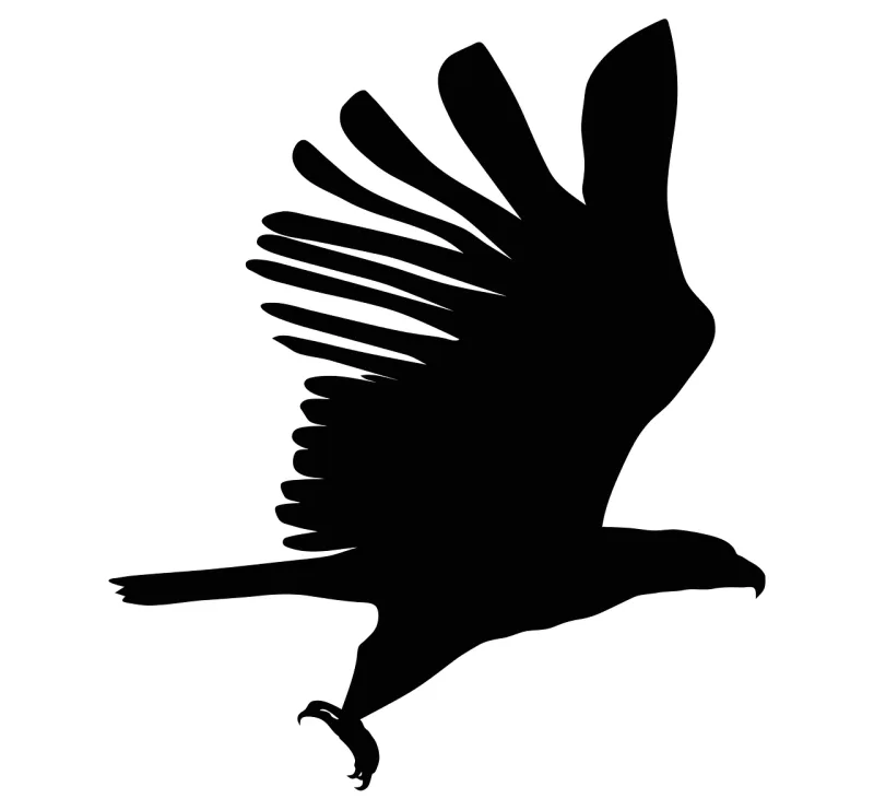 Eagle Silhouette Bird Stickdatei – Natur