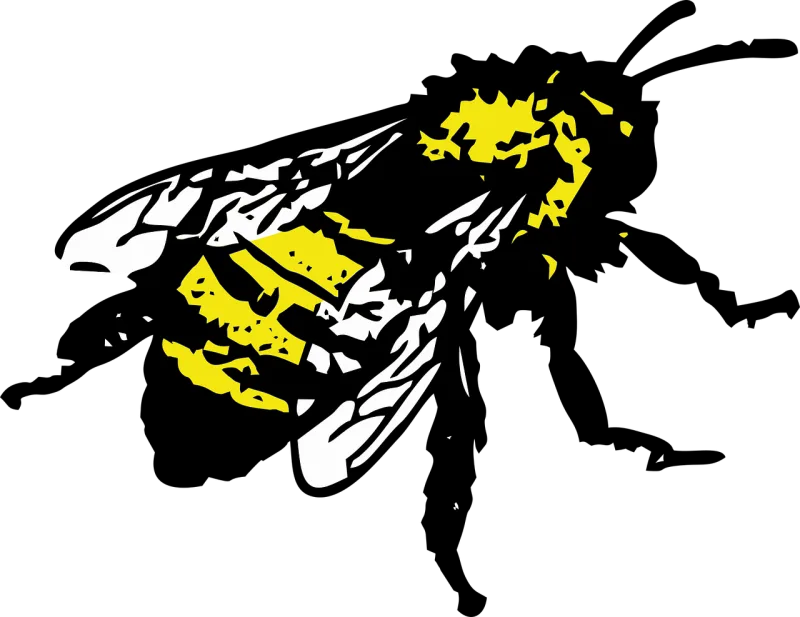Honey bee Insect Bee Stickdatei – Tiere