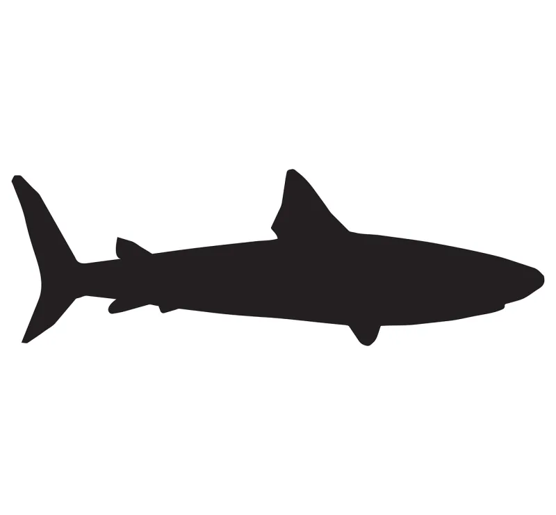 Shark Sea Fish Stickdatei – Sport
