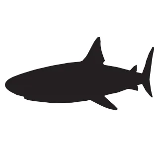 Shark Sea Fish Stickdatei