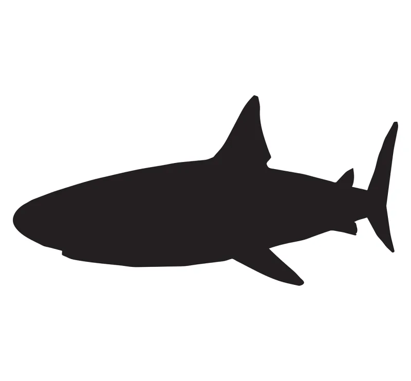 Shark Sea Fish Stickdatei – Sport