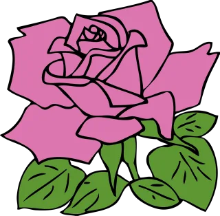 Rose Nature Rose flower Stickdatei – Blumen
