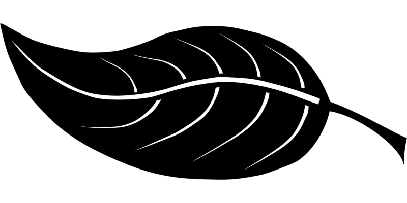 Leaf Silhouette Vegetation Stickdatei – Natur