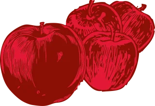 Apples Red Fruit Stickdatei