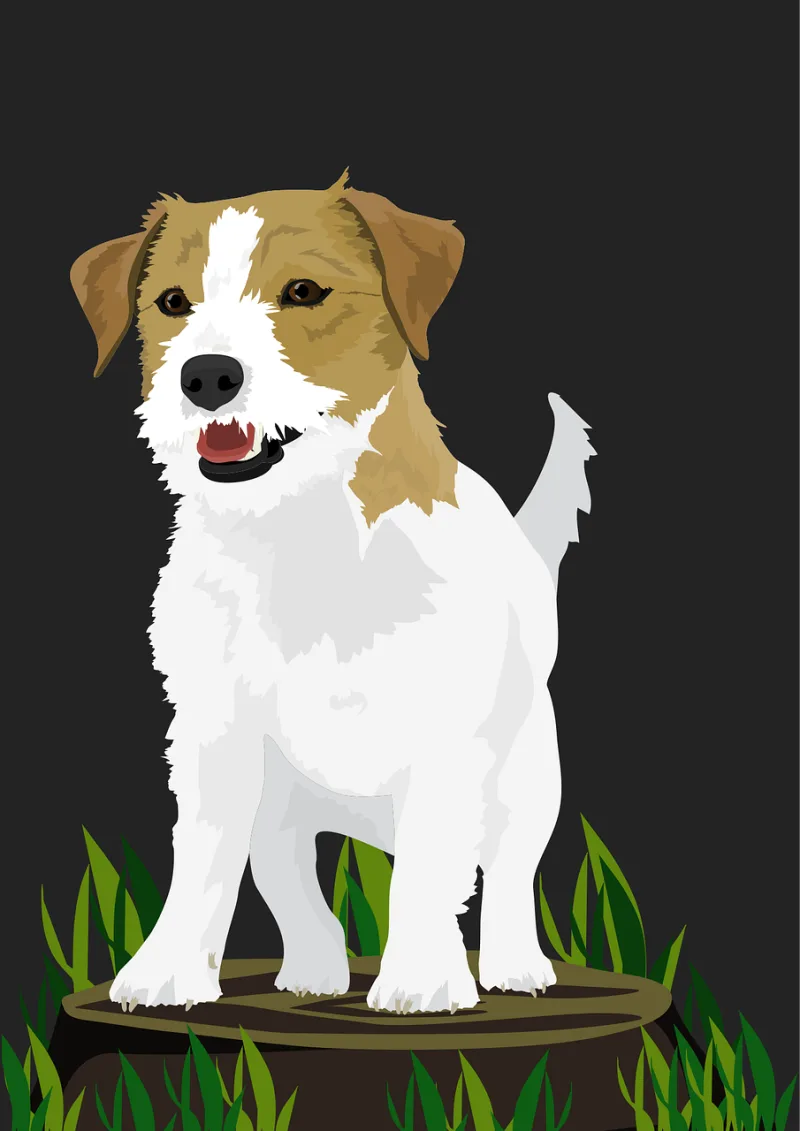 Dog Nature Pet Stickdatei – Tiere