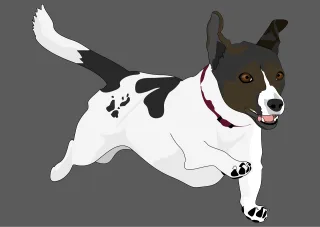 Dog Terrier Pet Stickdatei