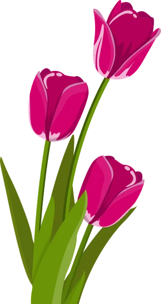 Tulips Flower wallpaper Flowers Stickdatei