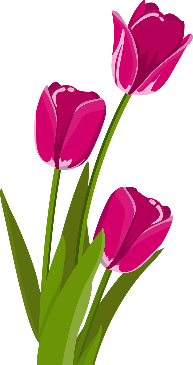 Tulips Flower wallpaper Flowers Stickdatei – Blumen
