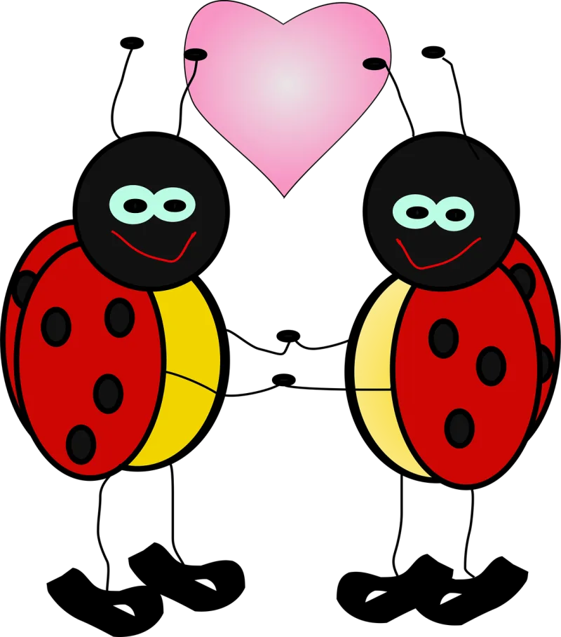 Ladybugs Insect Lady Stickdatei – Tiere