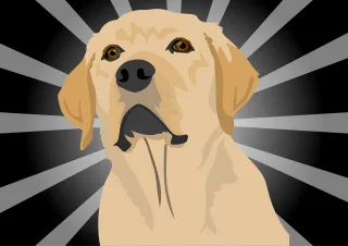 Dog Labrador Puppy Stickdatei