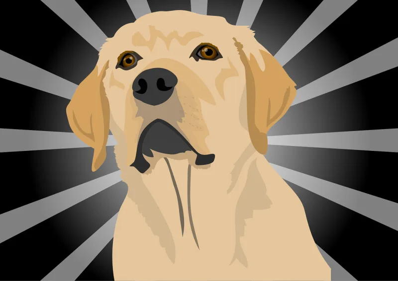 Dog Labrador Puppy Stickdatei – Tiere