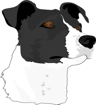 Dog head Dog Terrier Stickdatei