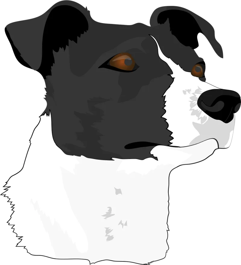 Dog head Dog Terrier Stickdatei – Tiere