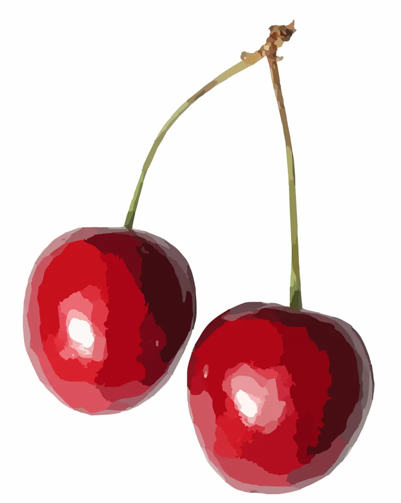 Cherries Food Fruit Stickdatei – Essen & Trinken