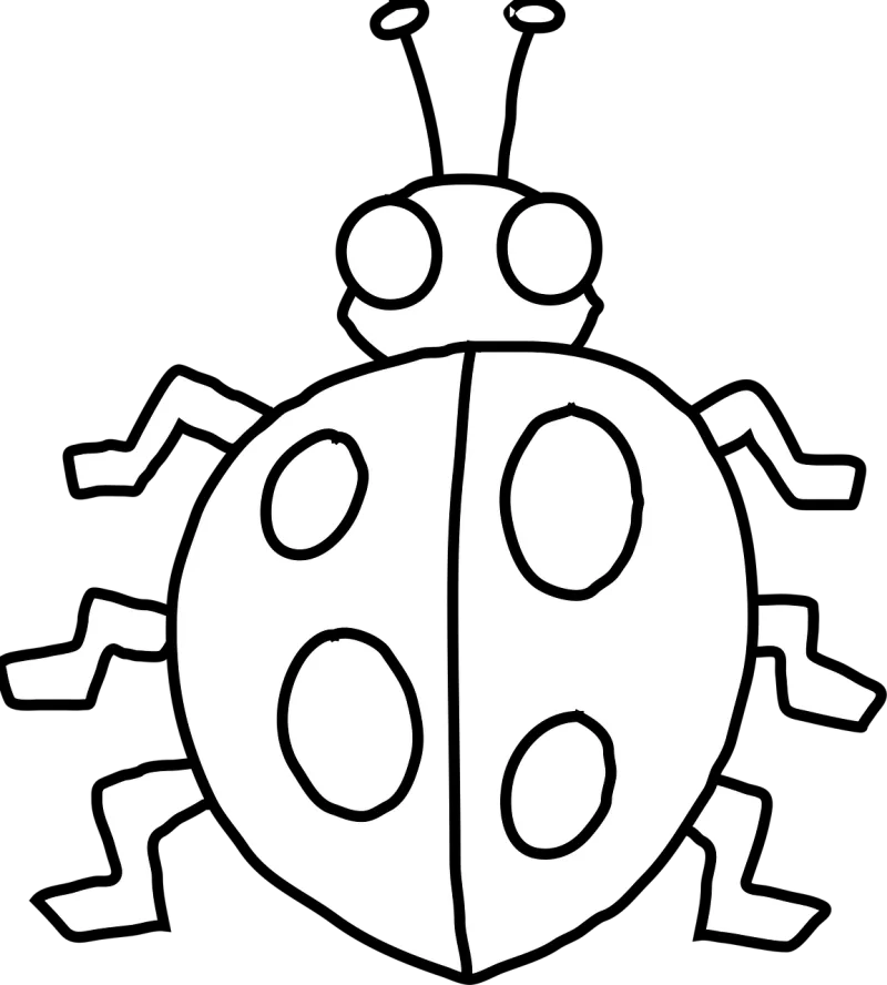 Ladybird Ladybug Black Stickdatei – Tiere