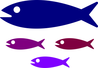 Shoal Fish Nature Stickdatei