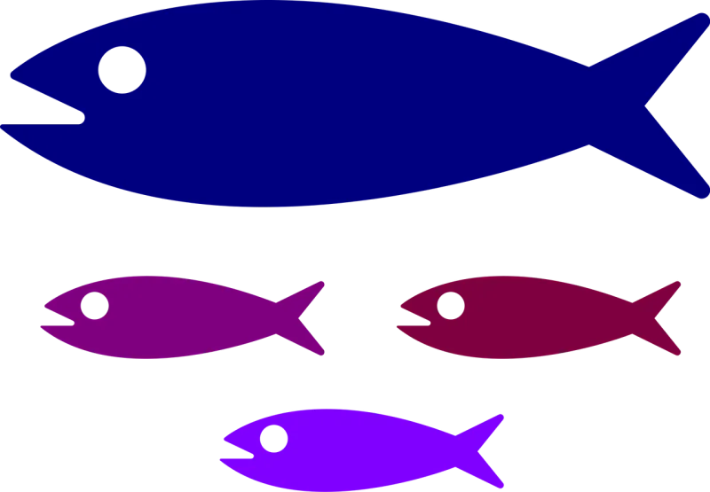 Shoal Fish Nature Stickdatei – Sport