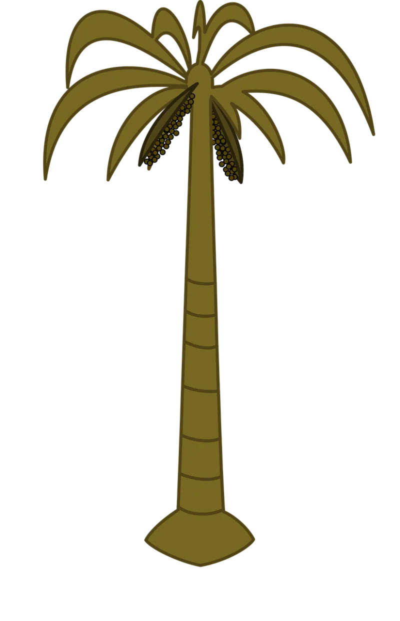 Palm tree Palm Tropical Stickdatei – Natur