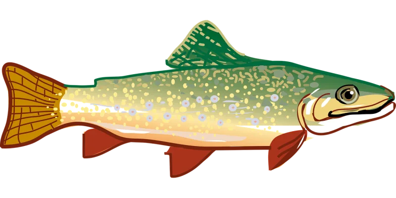 Trout Fish Nature Stickdatei – Tiere