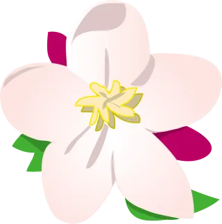 Apple Beautiful flowers Flower wallpaper Stickdatei