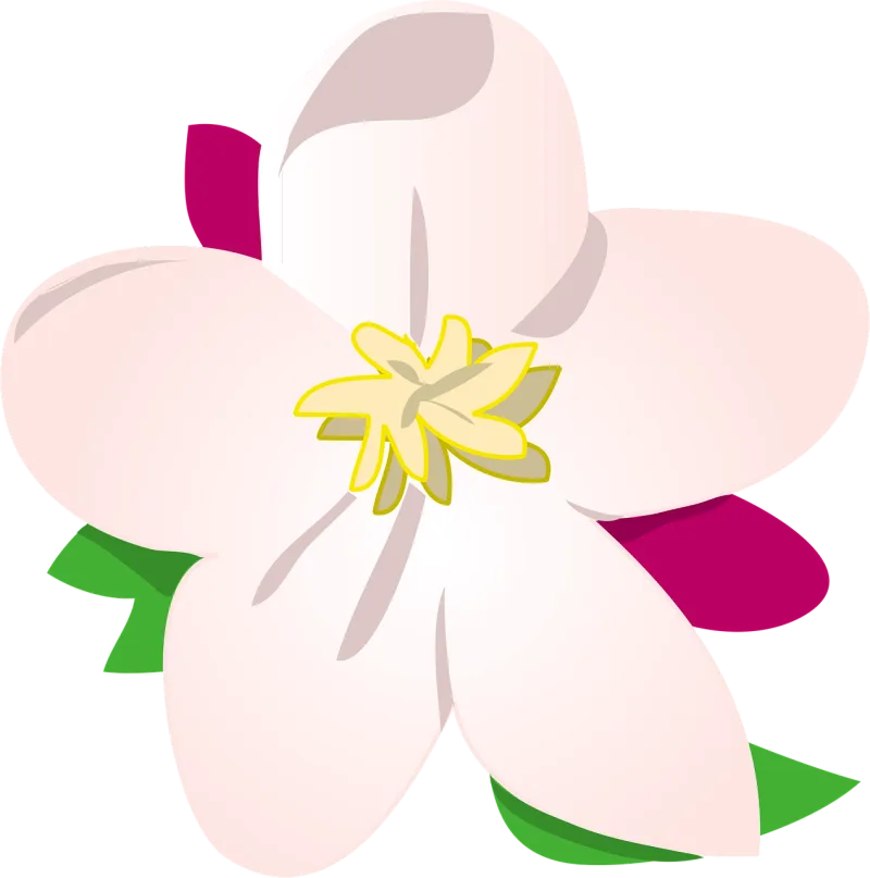 Apple Beautiful flowers Flower wallpaper Stickdatei – Essen & Trinken