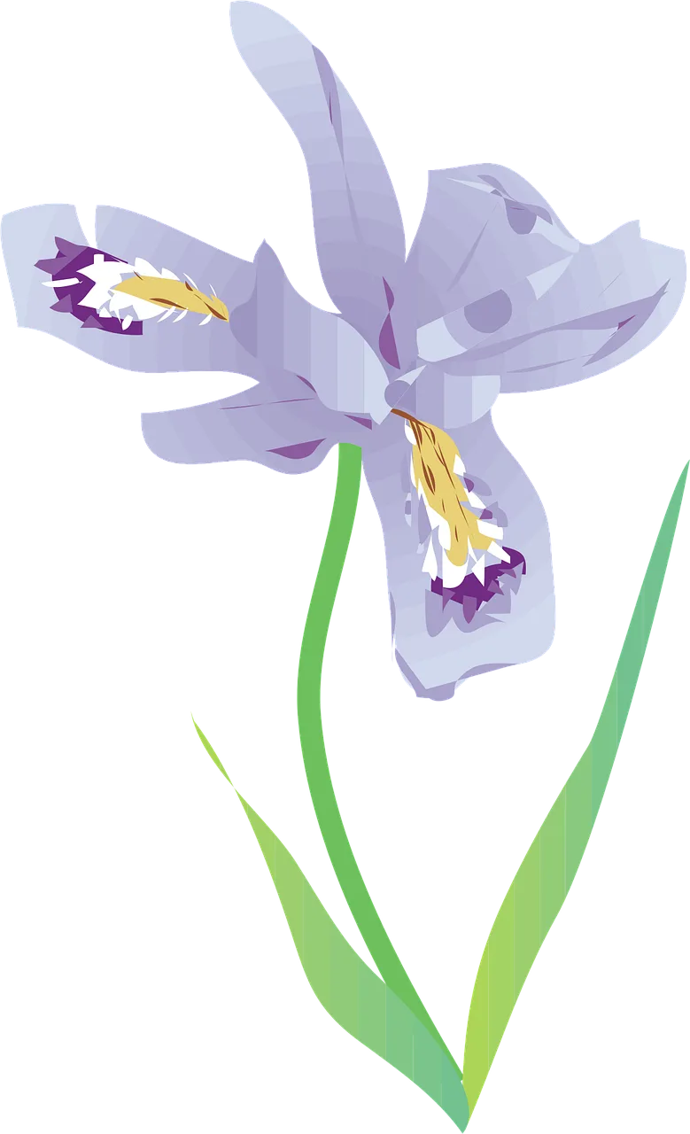 Wild iris Beautiful flowers Nature Stickdatei – Blumen