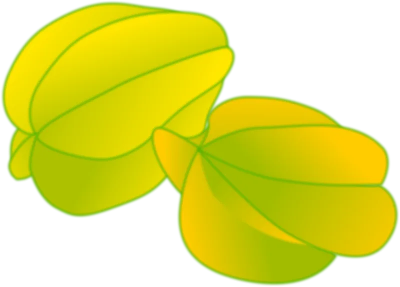 Starfruit Fruit Yellow Stickdatei – Essen & Trinken