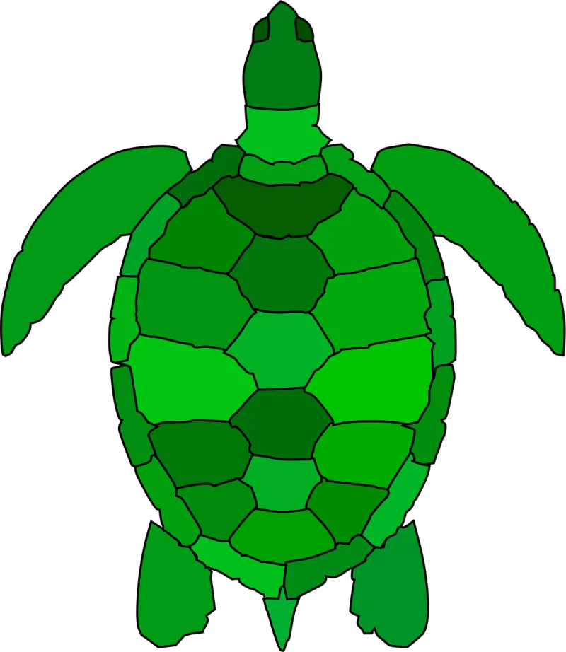 Turtle Animal Reptile Stickdatei – Tiere