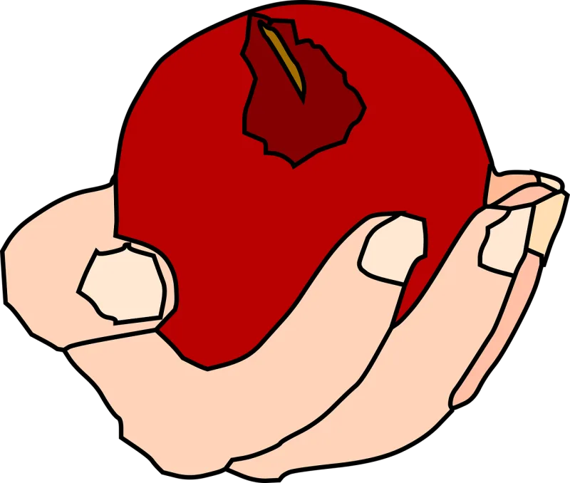 Apple Red Nature Stickdatei – Essen & Trinken