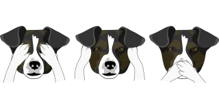 Dogs Heads Fun Stickdatei