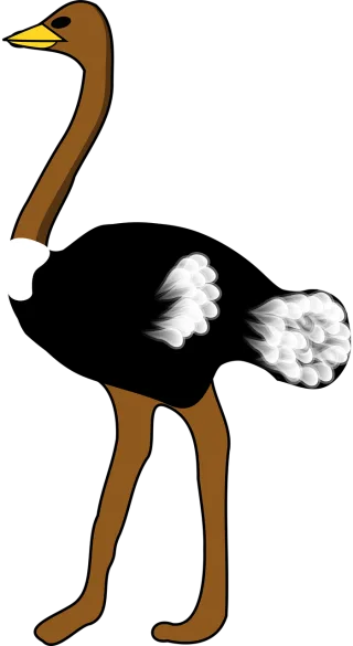 Ostrich Large bird Flightless bird Stickdatei