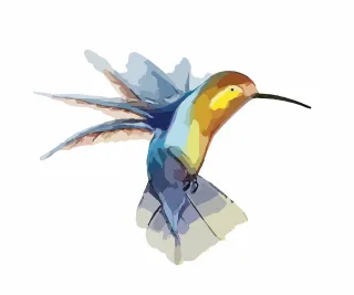 Bird Hummingbird Wings Stickdatei