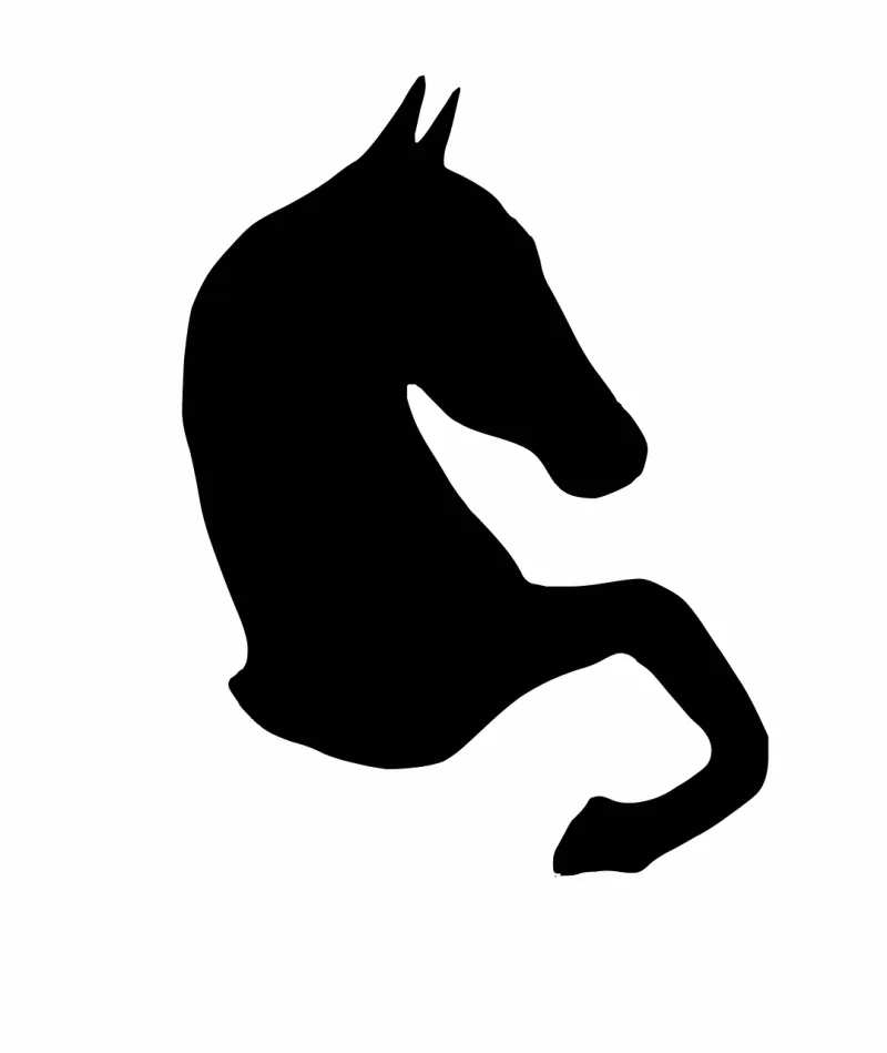 Horse Nature Horse head Stickdatei – Tiere