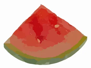 Watermelon Melon Slice Stickdatei