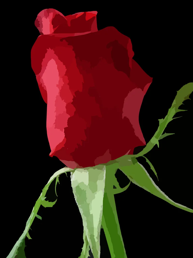 Rose Red Flower Stickdatei – Blumen