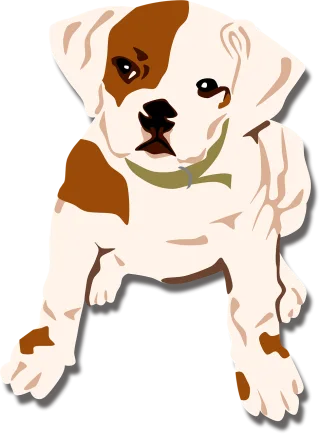 Dog Bulldog Puppy Stickdatei
