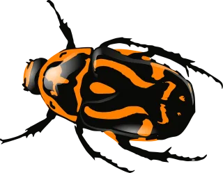 Bug Insect Beetle Stickdatei – Tiere