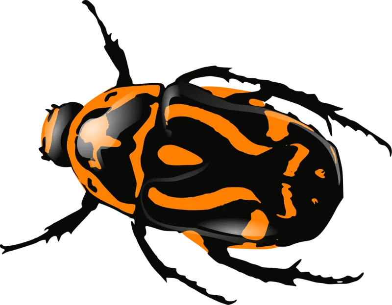Bug Insect Beetle Stickdatei – Tiere