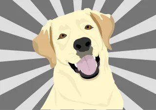 Labrador Pet Dog Stickdatei