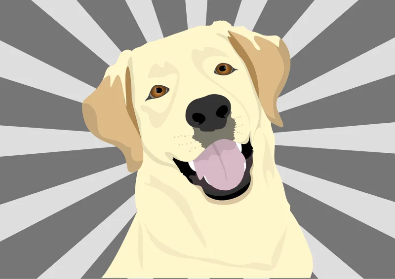 Labrador Pet Dog Stickdatei – Tiere