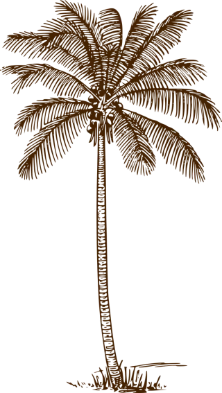 Palm tree Coconut palm Palm Stickdatei