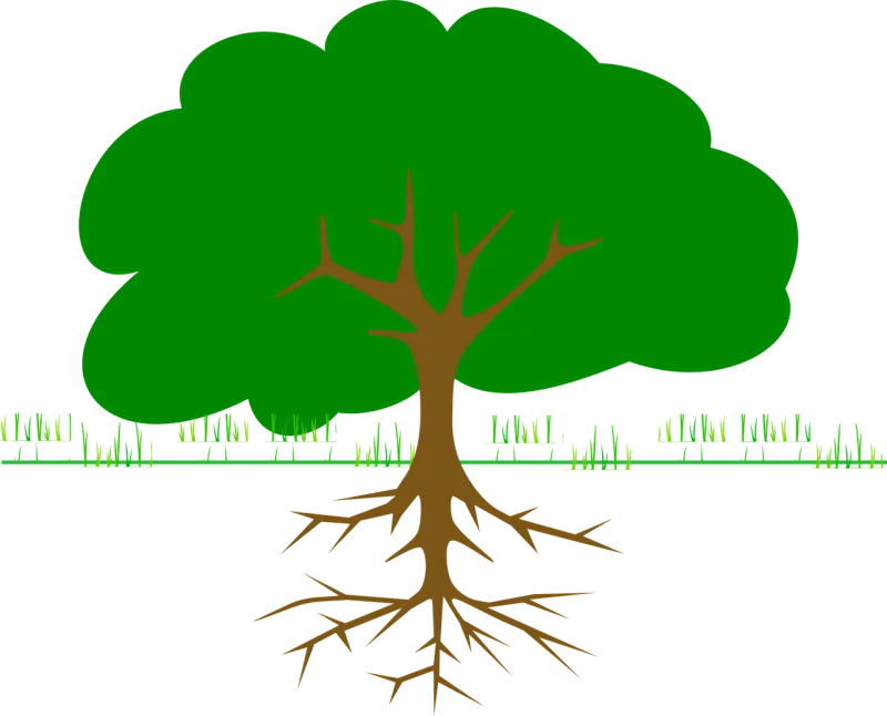 Tree Branches Roots Stickdatei – Natur