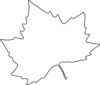 Maple Leaf Nature Stickdatei