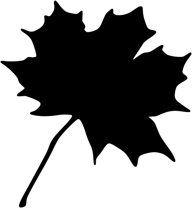 Maple Leaf Fall Stickdatei – Natur