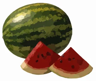 Watermelon Melon Slices Stickdatei