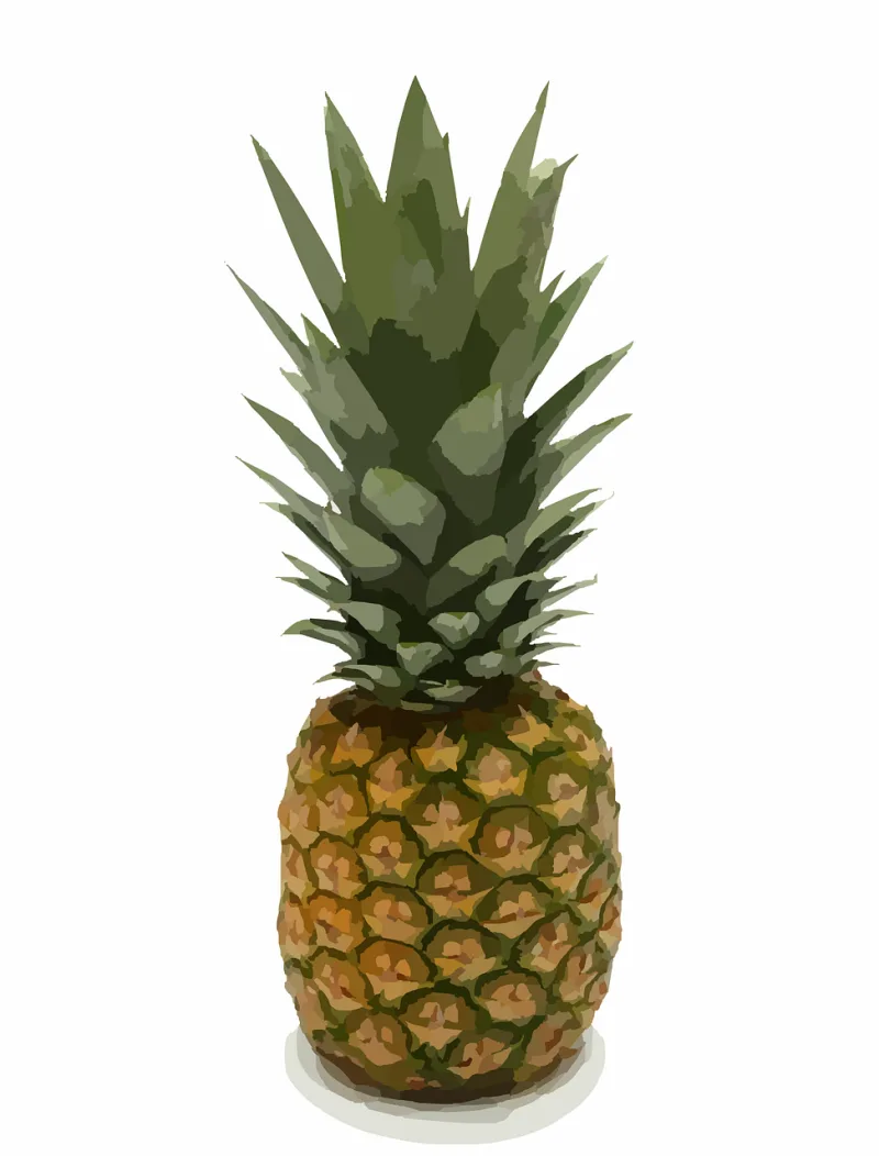 Pineapple Nature Exotic Stickdatei – Essen & Trinken