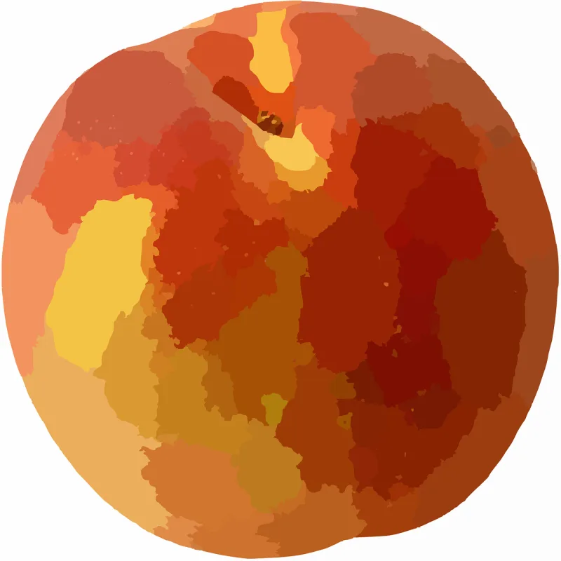 Peach Nectarine Fruit Stickdatei – Essen & Trinken