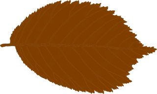 Leaf Nature Brown Stickdatei