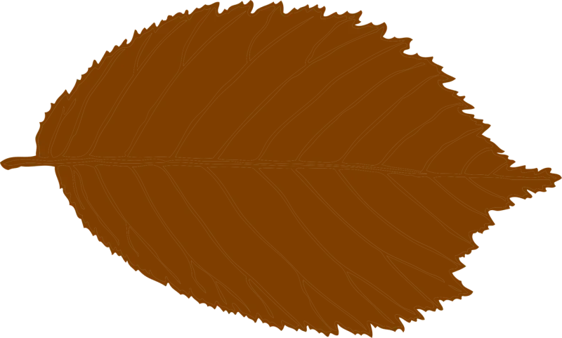 Leaf Nature Brown Stickdatei – Natur